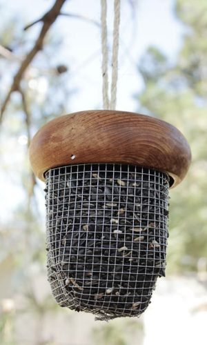 acornbirdfeeder16sm