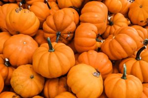 how-to-choose-carving-pumpkins-1403449-03-b29896bd3fa04574937cfde004e45dd5